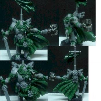 SW Wolfpriest by donel