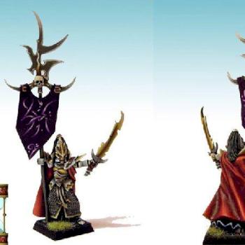 Dark Elves Battle Standard Bearer by MantraStudio