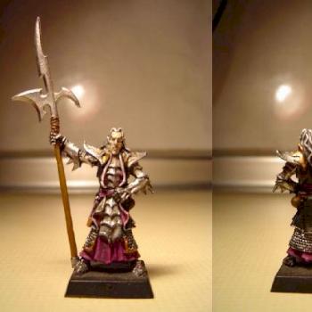 Dark Elf Black Guard by Mindhunter