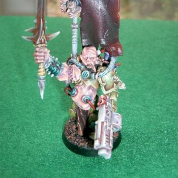 Aspiring Champion of Nurgle by Vain Games