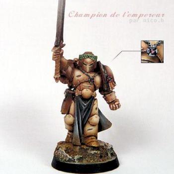 Emperor's Champion by n!Co