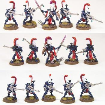 Eldar Dire Avengers of Saim-Hann with Exarch by richardvan