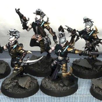 Dark Eldar Wyches by Vet Sgt Ezekiel