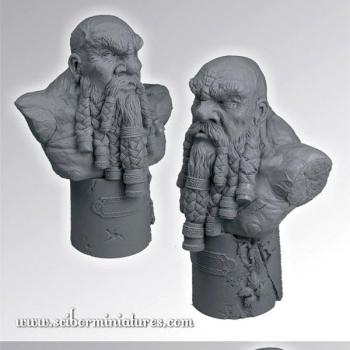 Dwarf Warrior Bust by Scibor