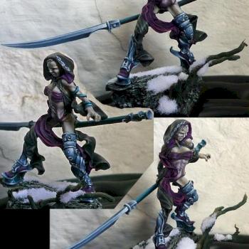 Dark elf Beastmaster by lukatme