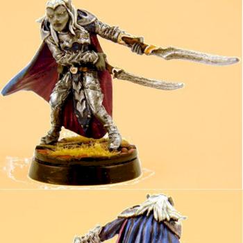 Dark Elf Captain by hairlord