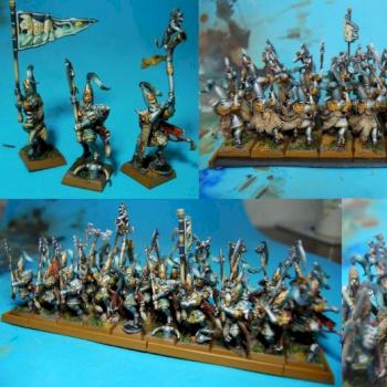 High Elves White Lions by Joi