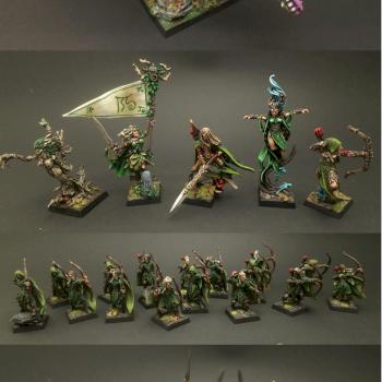Wood Elf Army by Ironman2480