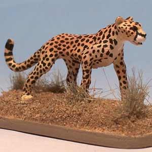 Cheetah by Akenmaat