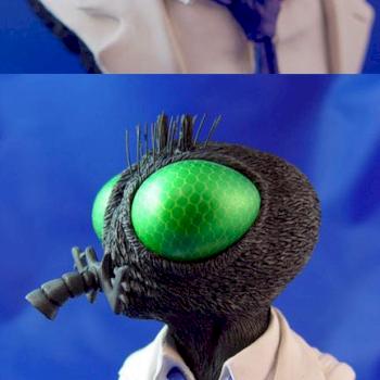 The Fly by dewberry1964