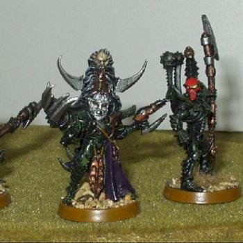 Dark Eldar Lord by battlestudios