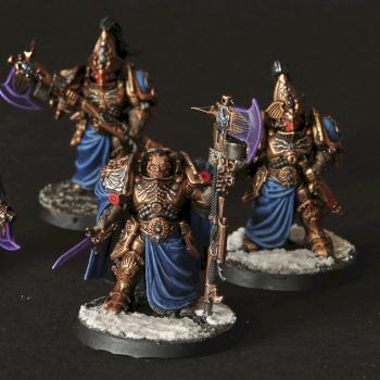 Custodes Warden by Lokke