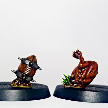 Blood Bowl (Games Workshop's 2016 Edition) Pig (Human) and Squig (Orc) Balls (Front) by Akaisamurai