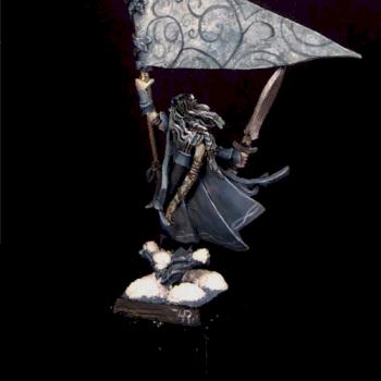 Wood Elf Standard Bearer by jarhead