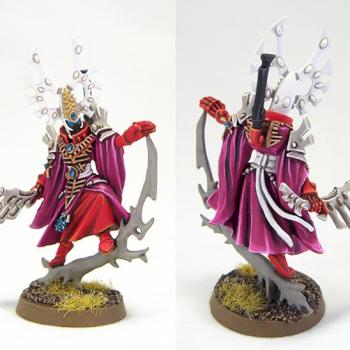 Eldar Bonesinger of Saim-Hann (counts as Spiritseer) by richardvan