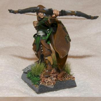 wood elf warriors champion by Sperber