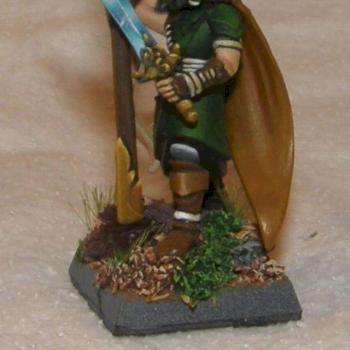 Wood elf warriors standard bearer by Sperber