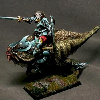 Dark Elf Champion by Landreth