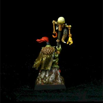 Warhammer - Goblin shaman by patttttry85