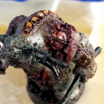Nurgle Herald by The Fellhand