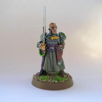 colonel de la garde imperiale by firefly30