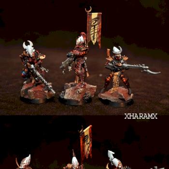 Dark Eldar Trueborn by xHaramx