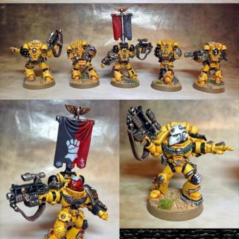 Imperial Fist Sternguard Veterans by GLD1