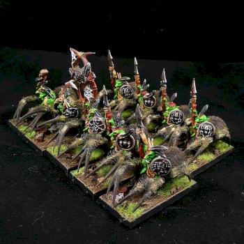 Warhammer Fantasy Battle Forest Goblin Spider Riders by DrD