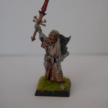 High Elf Swordmaster Champion by troglodytesrus