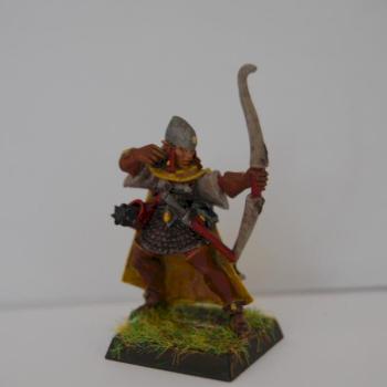 High Elf Shadow Warrior A by troglodytesrus
