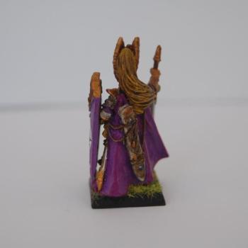 High Elf Prince B by troglodytesrus