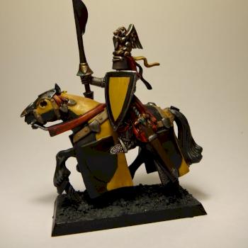 Chevalier noir de Moussillon by drizztt