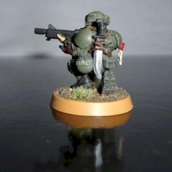 Imperial guard veteran by jerry polemica