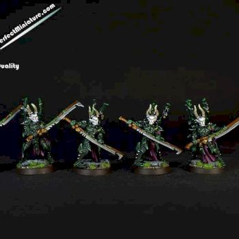 Dark Eldar Incubi by perfectminiaturecom