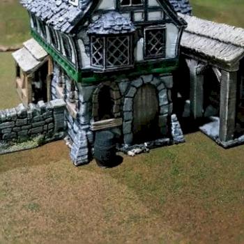 3d Printed Tavern by runicmadhamster