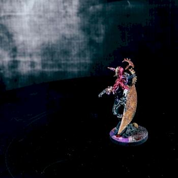 Haemonculus conversion Back by Irth