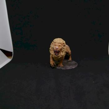 White Lion by Zabongo
