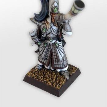 High Elf Swordmaster Musician by Poa