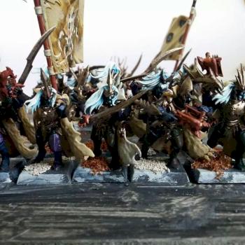 dark elves corsairs by feekejames