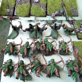 Wood Elves Army Commission Tabletop Ready 2007 by gen. Szrama