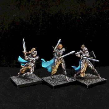 Limbo: Eternal War - Rose knights (1) by Zorrofuego