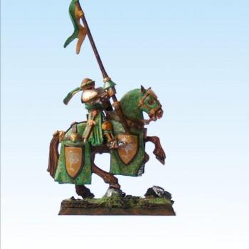 Bretonian Paladin pro painted by Black Gobbo