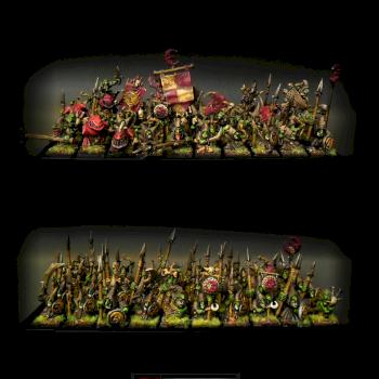 Warhammer Night Goblins  Army by Hexagone Club