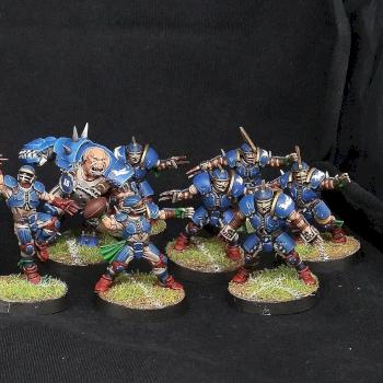 Blood Bowl Human Team Reikland Reavers by Jazvm