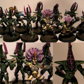 BB Dark Elves by evilstein