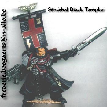 Black Templar Marshall by Arkheon Sanath