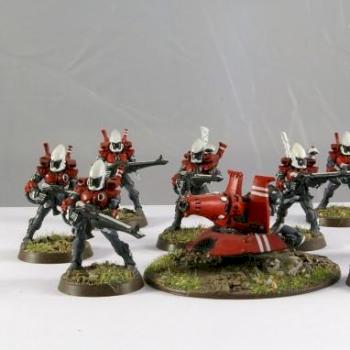 ELDAR GUARDIAN SQUAD WITH SUPPORT PLATTFORM by brainless