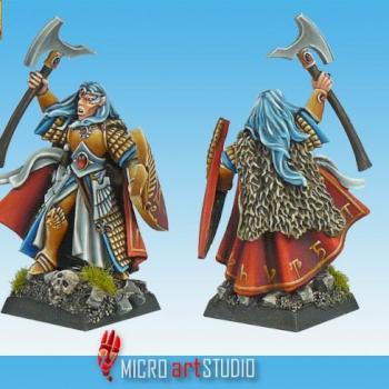 High Elf Hero by MiG