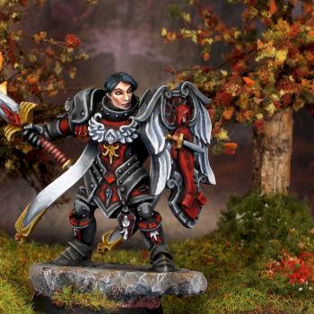 reaper paladin by freefall199