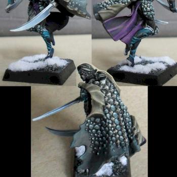 Dark elf Corsair by lukatme